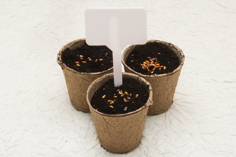 Biodegradable Rings Biodegradable cardboard pots – 𝑪𝑶𝑻𝑻𝑶𝑵 𝑹𝑰𝑵𝑮𝑺 𝑰𝑵𝑪.